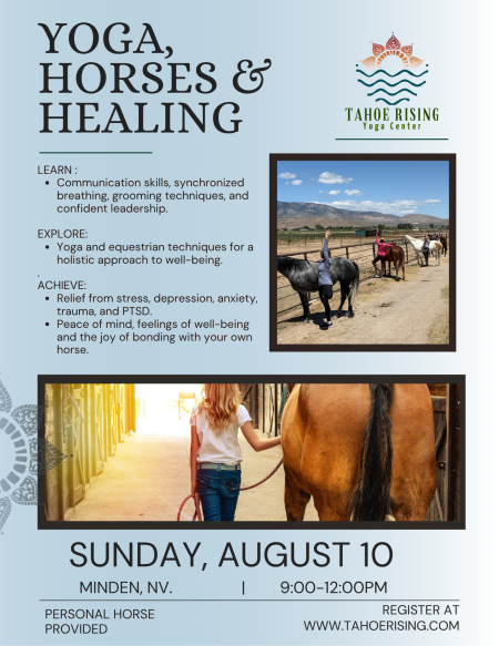 Tahoe Rising Yoga & Meditation Center, Healing with Horses: A Horse, Yoga & Sound Bath Experience