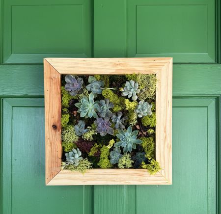 Alpine Charm, Vertical Succulent Frame Workshop