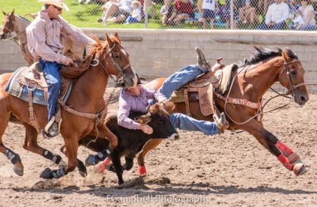 Truckee Pro Rodeo Association, Truckee Rodeo