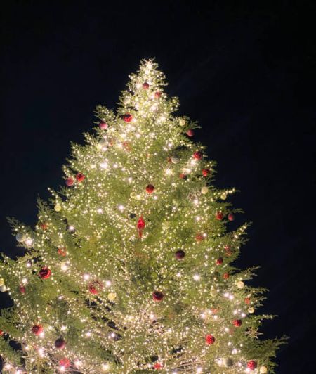 Lake Tahoe Events, Tree Lighting with Santa