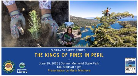 Sierra State Parks Foundation, Sierra Speaker Series: The King of Pines in Peril