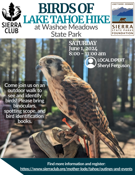 Tahoe Area Sierra Club, Birds of Lake Tahoe Hike