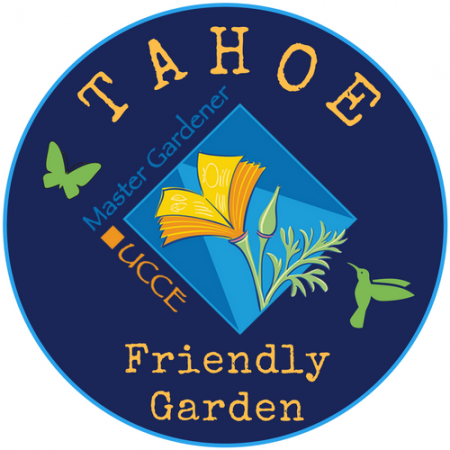 South Lake Tahoe Library, Tomatoes Workshop