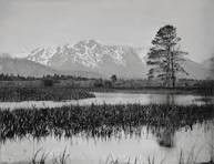 South Lake Tahoe Library, Renowned Photographer, Ian Ruhter, at the South Lake Tahoe Library