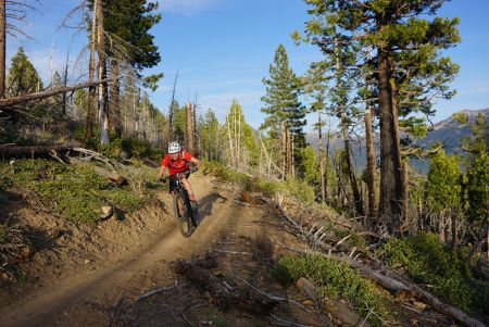 Lake Tahoe Bicycle Coalition, Lake Tahoe Mountain Bike Festival