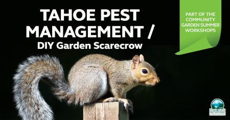 North Tahoe Recreation & Parks, Community Garden Workshop - Tahoe Pest Management & DIY Garden Scarecrow