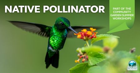 North Tahoe Recreation & Parks, Community Garden Workshop - Native Pollinator