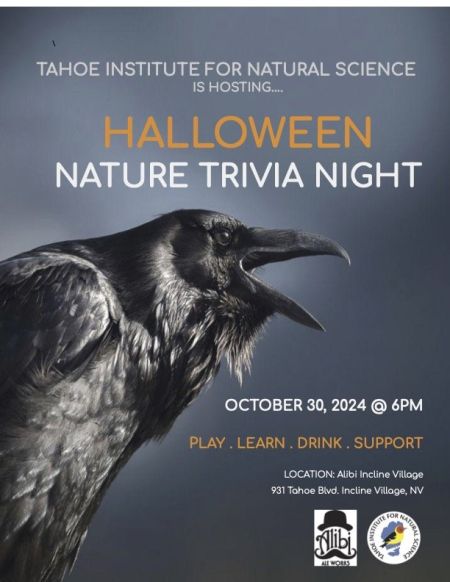 Tahoe Institute for Natural Science, Halloween Nature Trivia at Alibi Incline