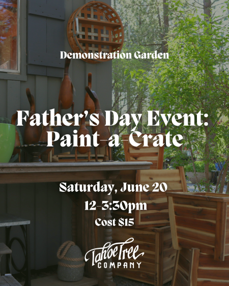 Tahoe Tree Company, Father’s Day Event: Paint a Crate