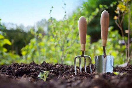 Organic gardening at high elevation is tricky! Get expert instruction for free at the Grow Your Own workshops.