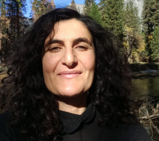 Incline Village Library, Nazanin Arastoo Puppet Theater