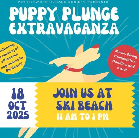 Pet Network Humane Society, Puppy Plunge Extravaganza