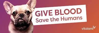 Pet Network Humane Society, Blood Drive