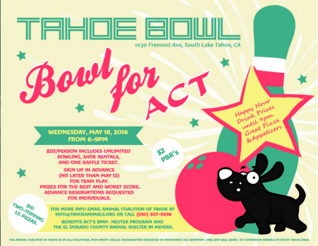 Animal Coalition of Tahoe, Bowl for ACT