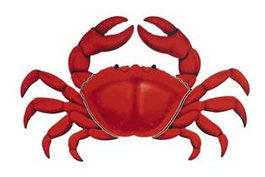 Rotary Club of Truckee, Rotary Crab & Pasta Feed