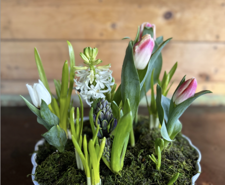 Bridget Giroux Design, Mother's Day Flowering Bulb Workshop
