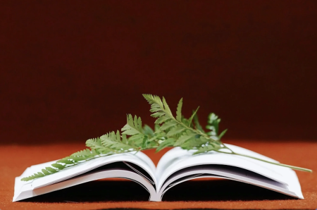 Yoga Room Tahoe, Mindful Readers Book Club