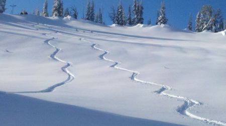 Excellence in Education, Skiing for Schools
