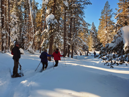 Sierra State Parks Foundation, Historical Cross-Country Skiing Tours
