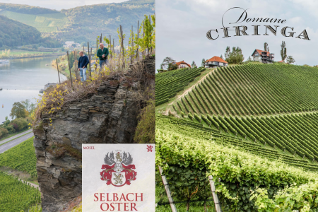 The Pour House, Taste the Terroir of Germany and Slovenia with Visiting Winemakers