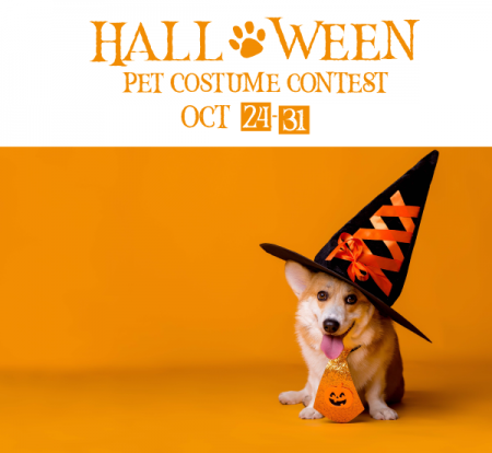 Mountain Hardware & Sports, Halloween Pet Costume Contest