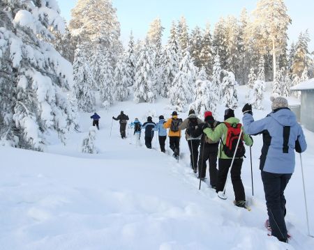 Tahoe Adventure Company, Daytime Snowshoe Tours