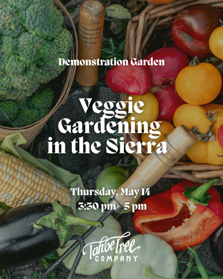 Tahoe Tree Company, Demonstration Garden: Veggie Gardening in the Sierra