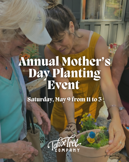Tahoe Tree Company, Annual Mother’s Day Planting Event