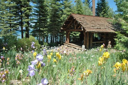Tahoe Heritage Center, David Antonucci: Amazing Tahoe Facts