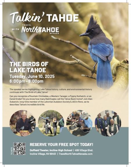 Travel North Tahoe Nevada, Talkin' Tahoe - The Birds of Lake Tahoe