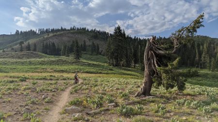 Start Haus, Weekly Mountain Bike Shop Rides