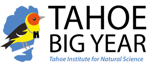 Kirkwood Mountain Resort, 2024 Tahoe Big Year Welcome