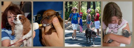 Pet Network Humane Society, Pet Network Volunteer Orientation