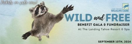 Lake Tahoe Wildlife Care, Wild & Free Fundraiser