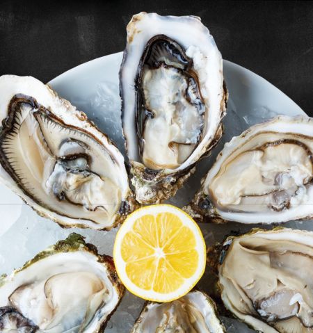 The Oyster Bar, Hard Rockin' Specials at the Oyster Bar