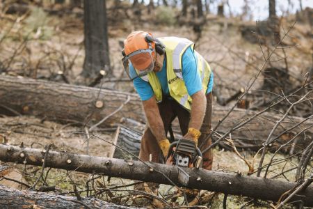 Tahoe City Downtown Association, Tahoe City Firewise