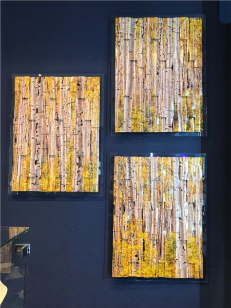 Bluestone Jewelry, "Aspen Forest" Tryptych - 26" x 20" - by Paul Bartlett