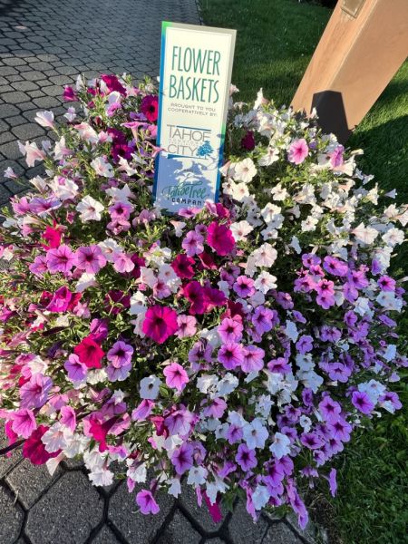 Tahoe City Downtown Association, Flower Basket Program