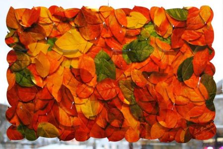 Bluestone Jewelry, "Autumn Leaves" Photography on Aluminum