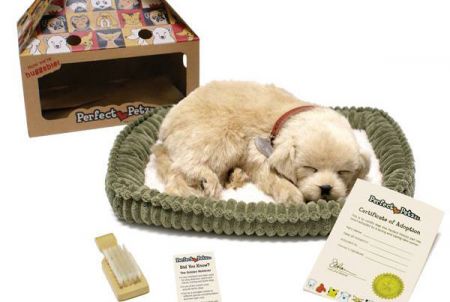 Toy Maniacs, Perfect Petzzz