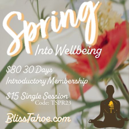 Bliss Experiences, Spring Into Wellbeing