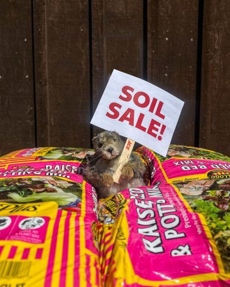 Mountain Hardware & Sports, Buy 3, Get 1 Free Soil Sale