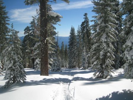 Lake Tahoe Snowmobile Tours, 2 Hour Private Summit Tour