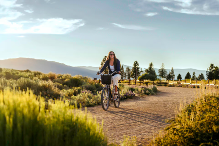 Tahoe Bike Company, Comfort E-Bike Rentals