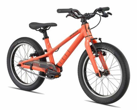 Flume Trail Mountain Bikes, Youth Bike Rentals