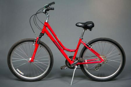 Anderson's Bicycle Rental, Women's Sport Comfort Bike Rental