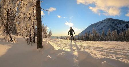 Lake Tahoe Sightseeing Tours & Cruises, Guided Cross Country Skiing