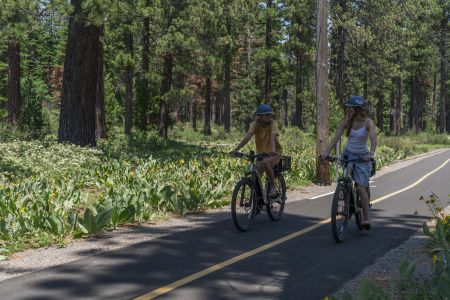 Sunnyside Marina & Watersports, E-Bike Rentals