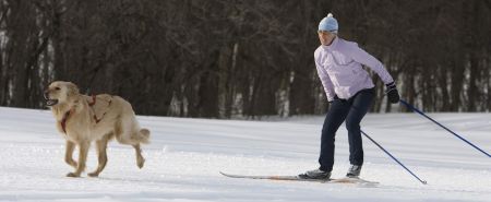 Tahoe Donner, Dog Friendly XC Trails