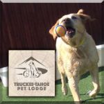 Truckee-Tahoe Pet Lodge